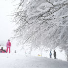 12月30日仙女山冰雪季盛大启动 滑雪赏雪攻略抢先收藏