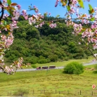 不足1折解锁616元双人浪漫！武隆景区“520”推出情侣PASS卡刷新性价比