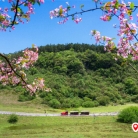 福利享不停！川渝鄂湘黔陕滇速冲，59.9元解锁武隆初夏限定秘境