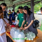 端午出逃计划｜武隆邀你解锁「粽夏民俗狂欢」