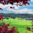 准考证免费游五大景区!2025年武隆公招考试考生有福啦