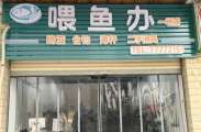 金币兑换不用花钱丨抄鱼网、成品子线已上架