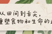 活动 | 舌尖上的仙谷 —— 食物与生命健康活动营