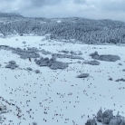 久等了｜2026仙女山冰雪盛宴如约而至，这一次用“一路守护”代替“路上小心”