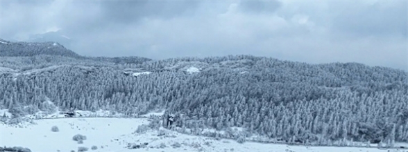 久等了｜2026仙女山冰雪盛宴如约而至，这一次用“一路守护”代替“路上小心”