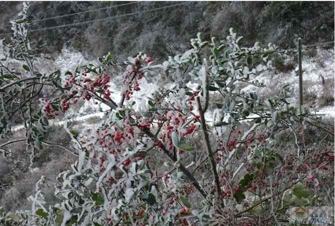QQ截图20120103180556.jpg