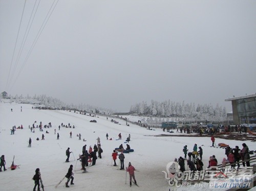 1201290931e42742256ced8884.jpg