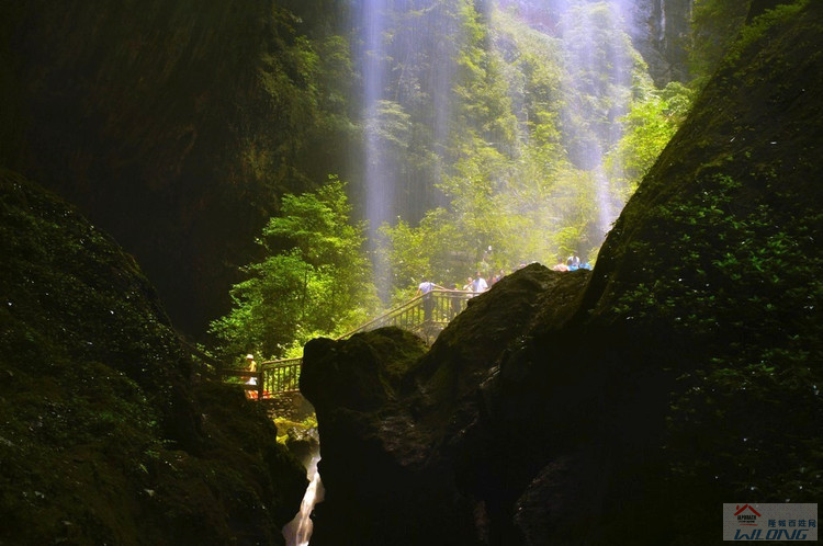 1202201007ad085e591d96c570.png