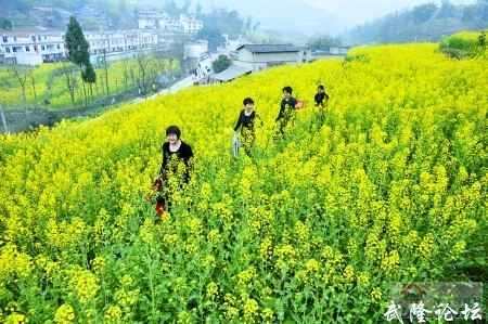 QQ截图20120318202337.jpg