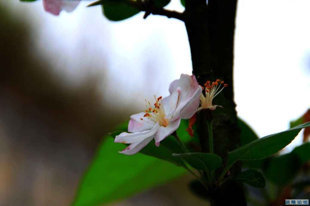 _MG_5844.JPG