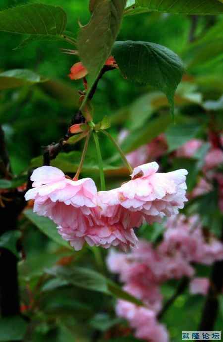 _MG_5867.JPG
