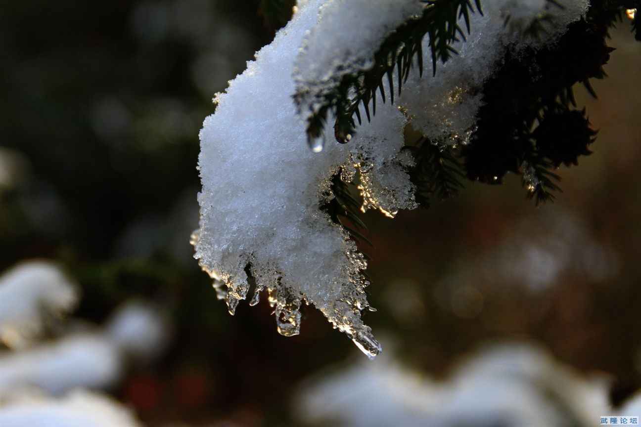 IMG_0950.JPG