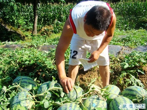 QQ截图20120718142145.jpg