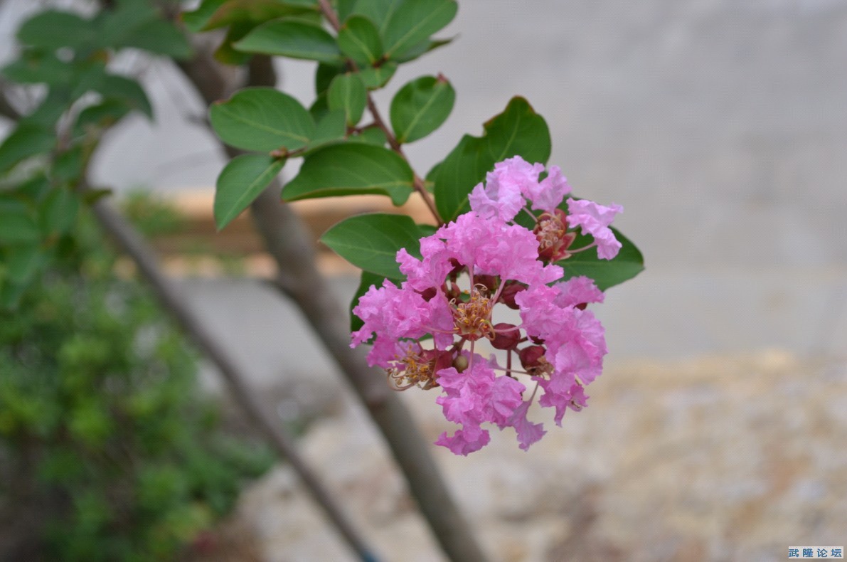 QQ截图20120905175138.jpg
