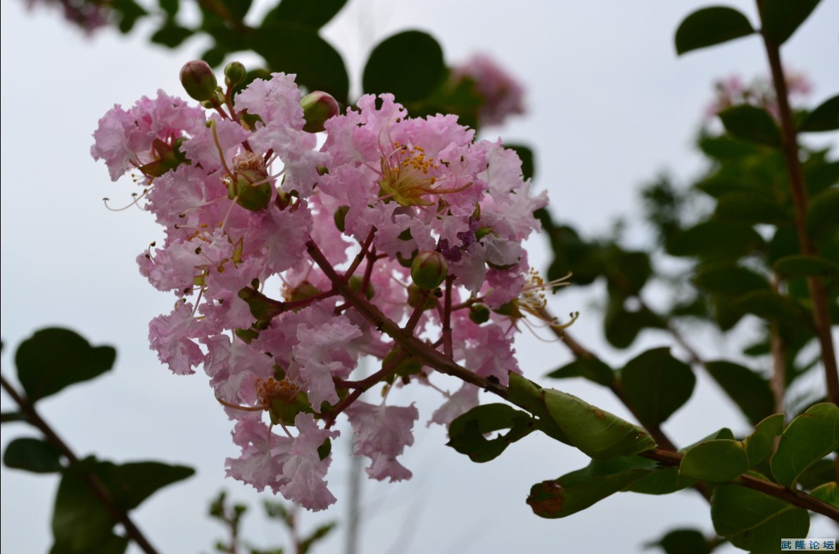 QQ截图20120905175341.jpg