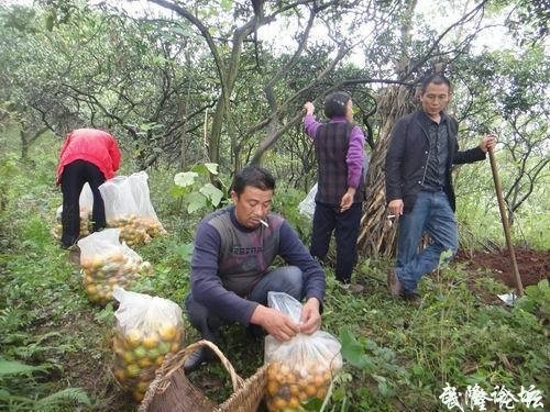 QQ截图20120927220141.jpg