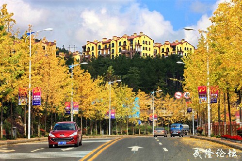 QQ截图20121029100544.jpg