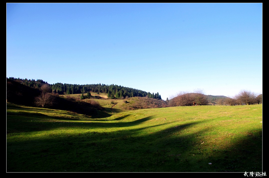 IMGP9364.jpg
