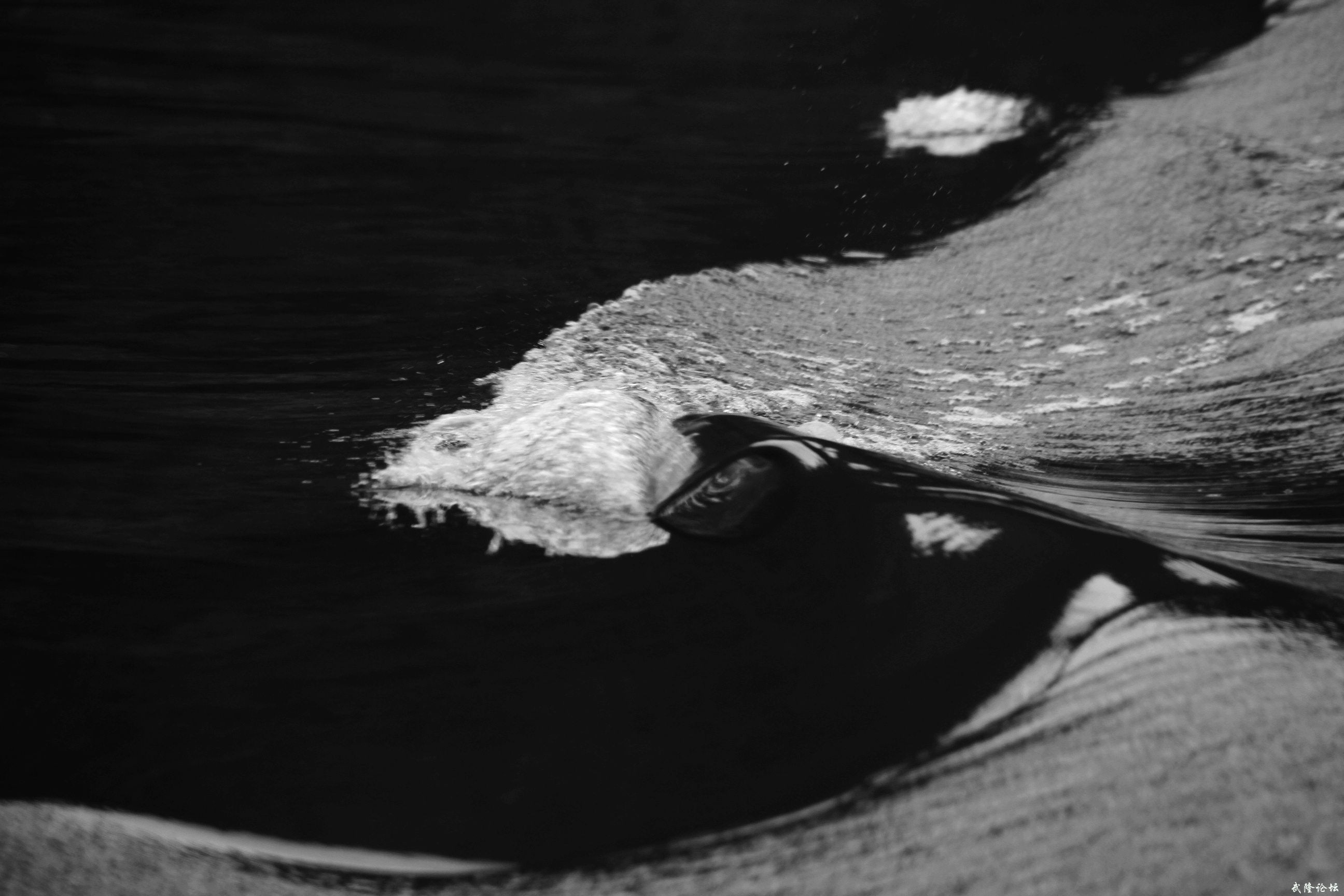 s 082.jpg