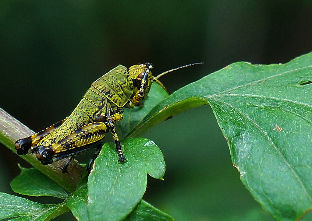 DSC01873.jpg