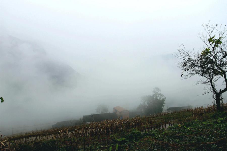 后坪 015.jpg