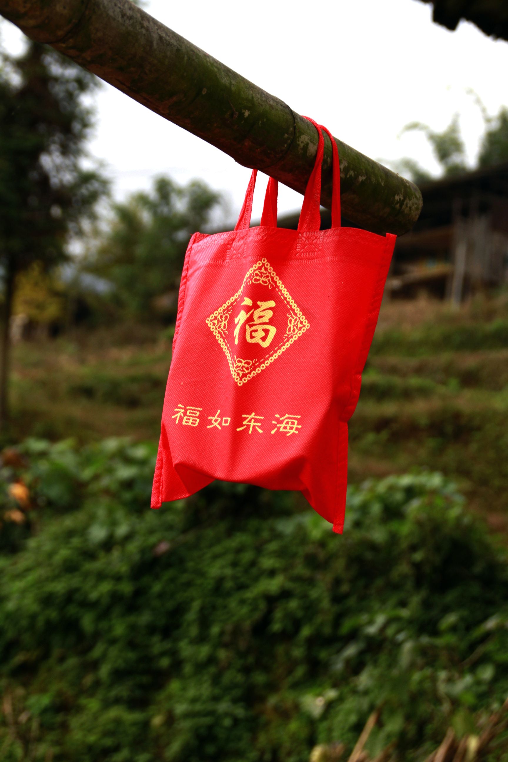 后坪 271.jpg