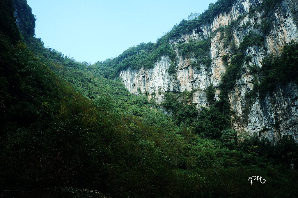 DSC02003.jpg