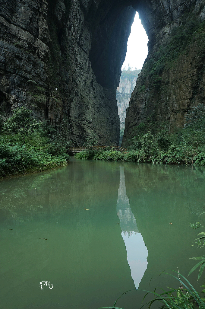 DSC02019.jpg