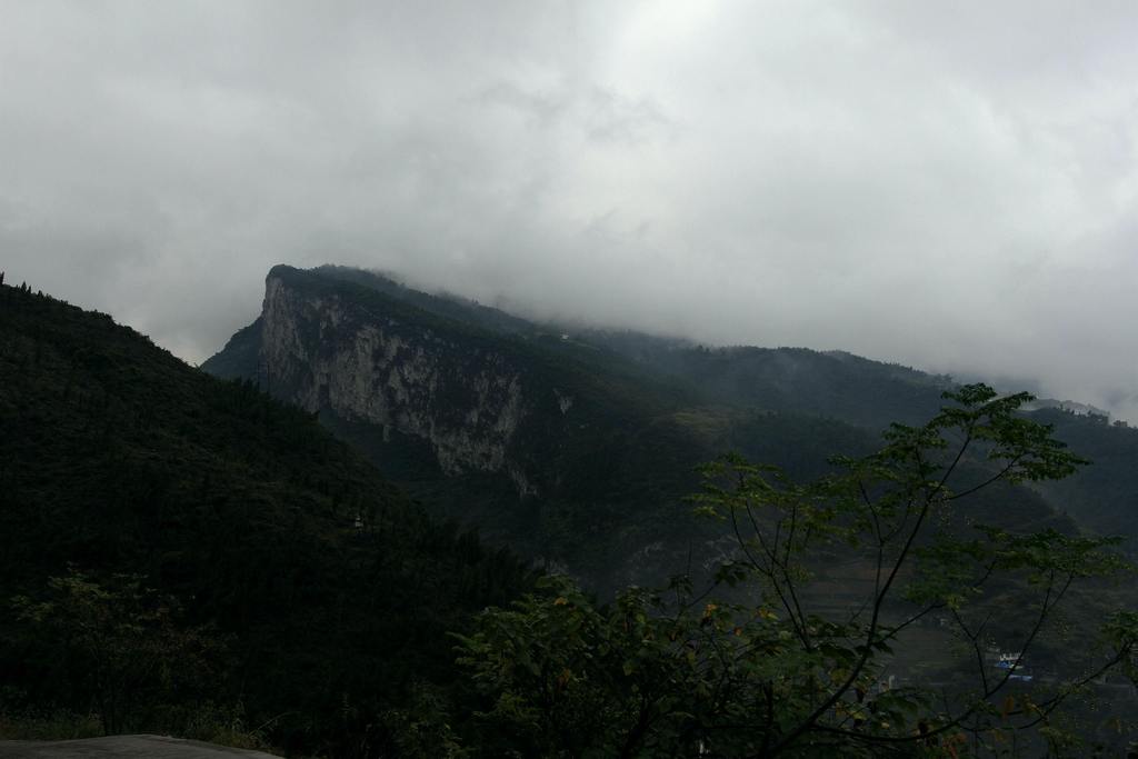 _MG_1338.JPG