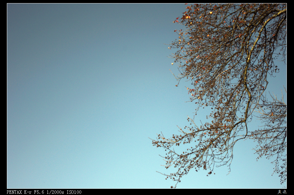 IMGP0846.jpg