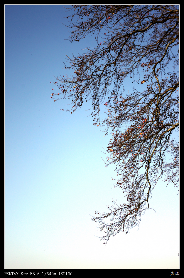 IMGP0858.jpg