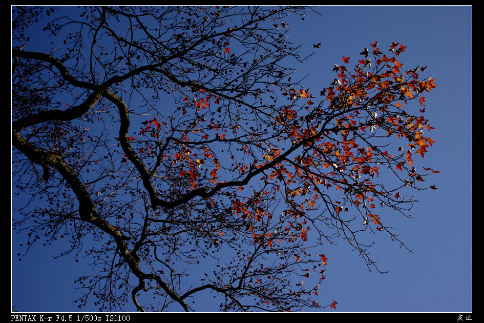 IMGP0862.jpg