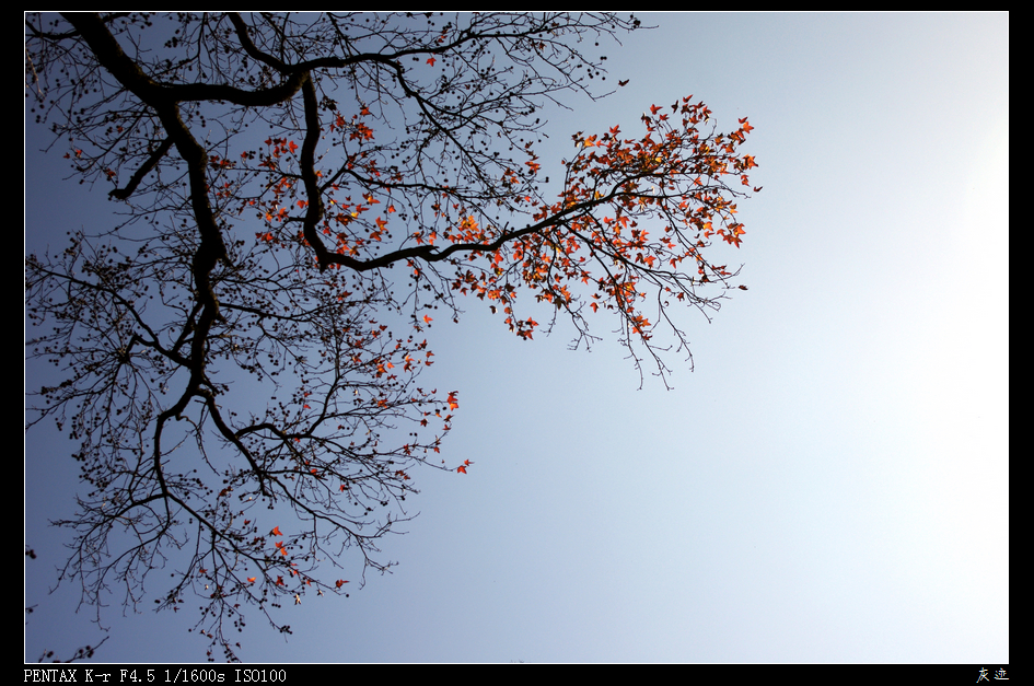 IMGP0869.jpg