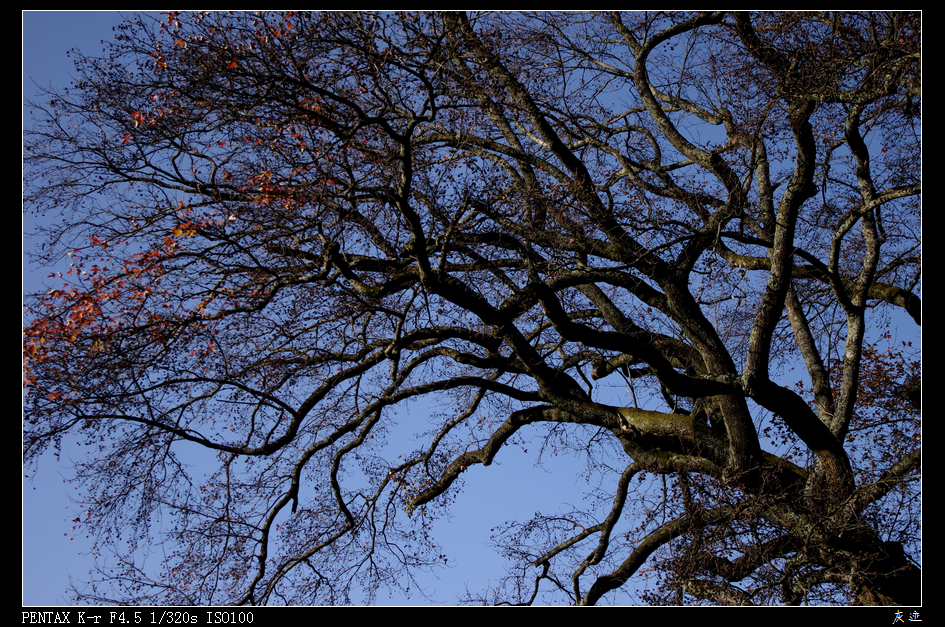 IMGP0875.jpg
