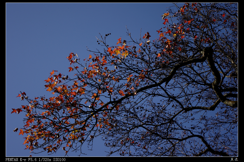 IMGP0877.jpg