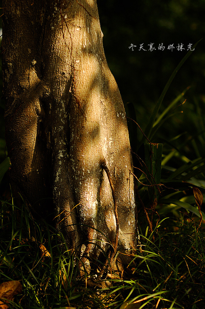 _DSC4566.jpg