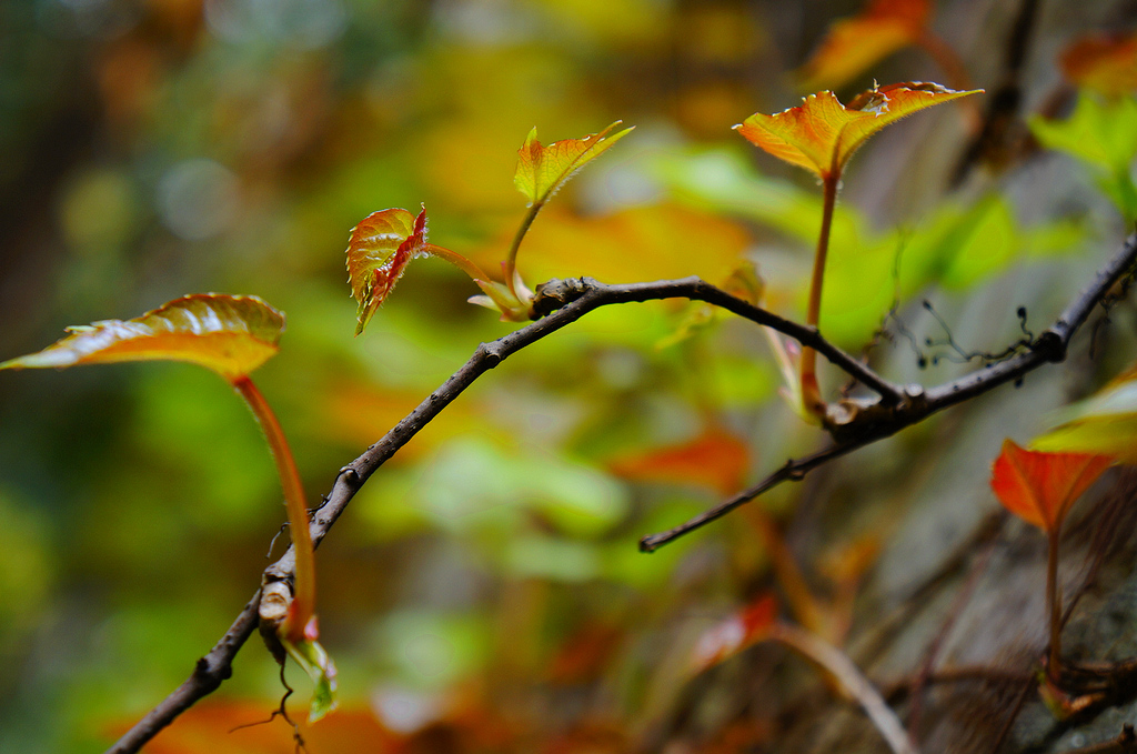 _DSC8405.jpg