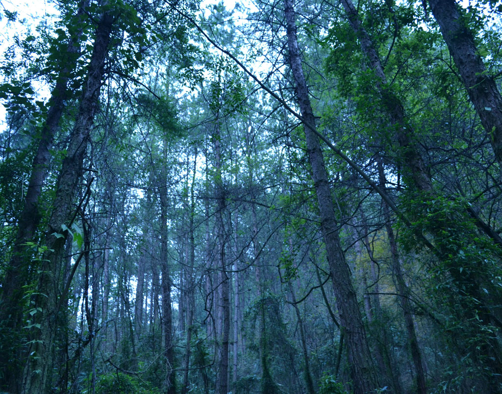 DSC_0128.jpg