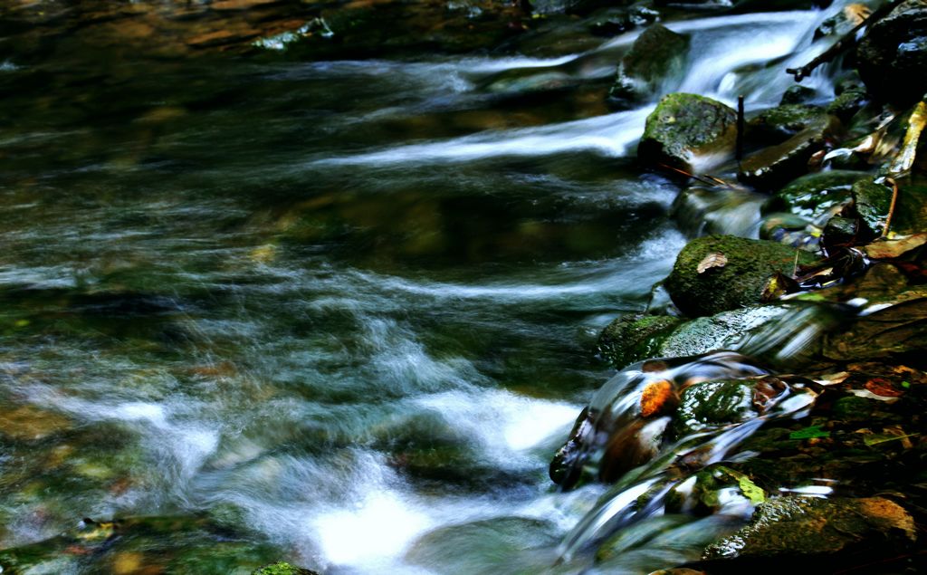 _MG_0265.JPG