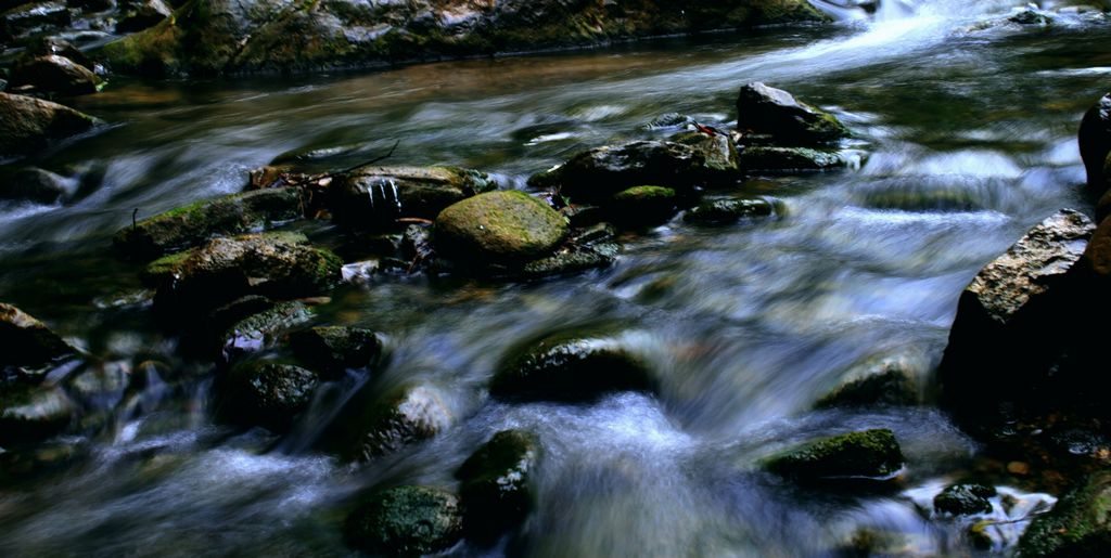 _MG_0269.JPG