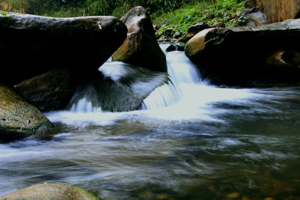 _MG_0298.JPG