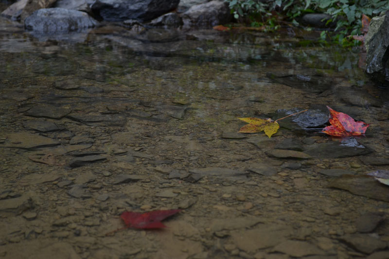 DSC_0049.JPG
