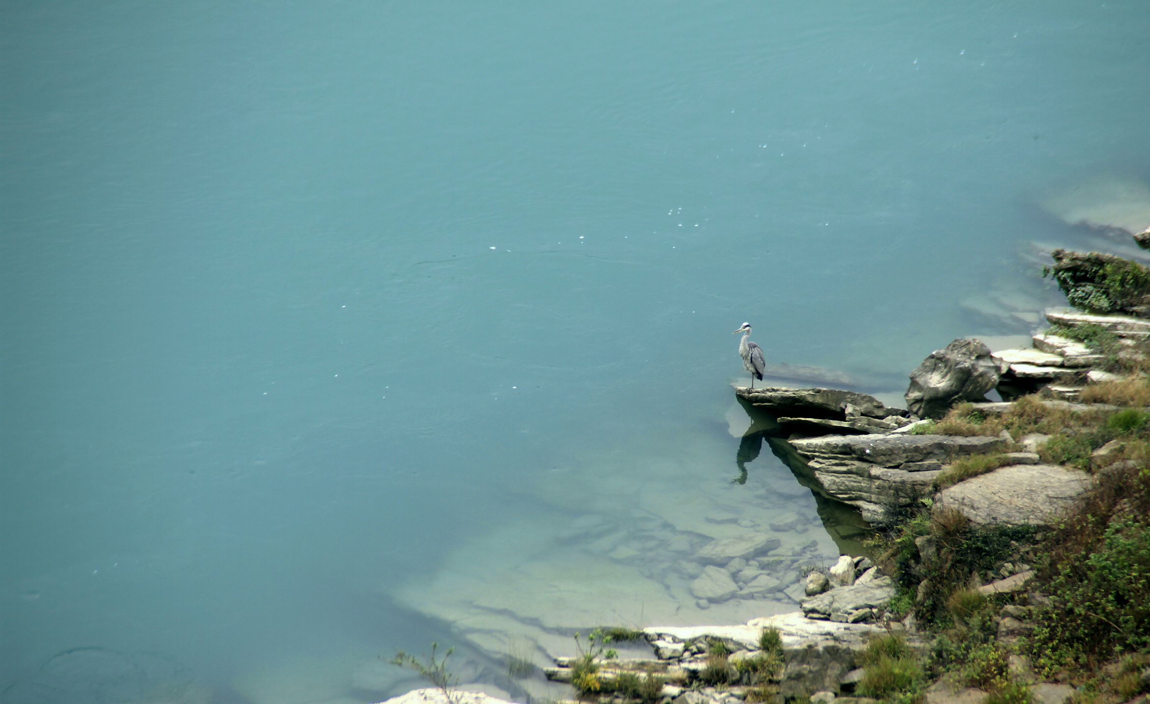 _MG_0142.JPG
