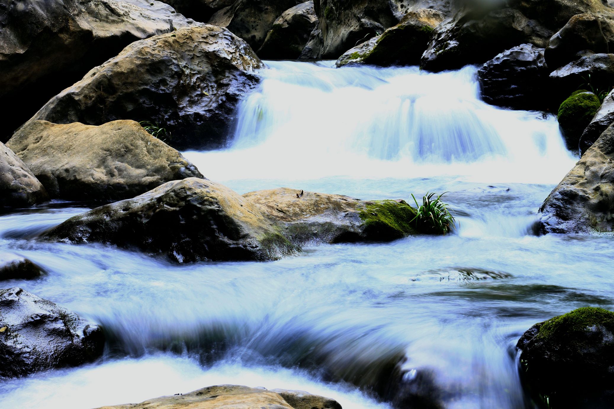 _MG_0063.JPG