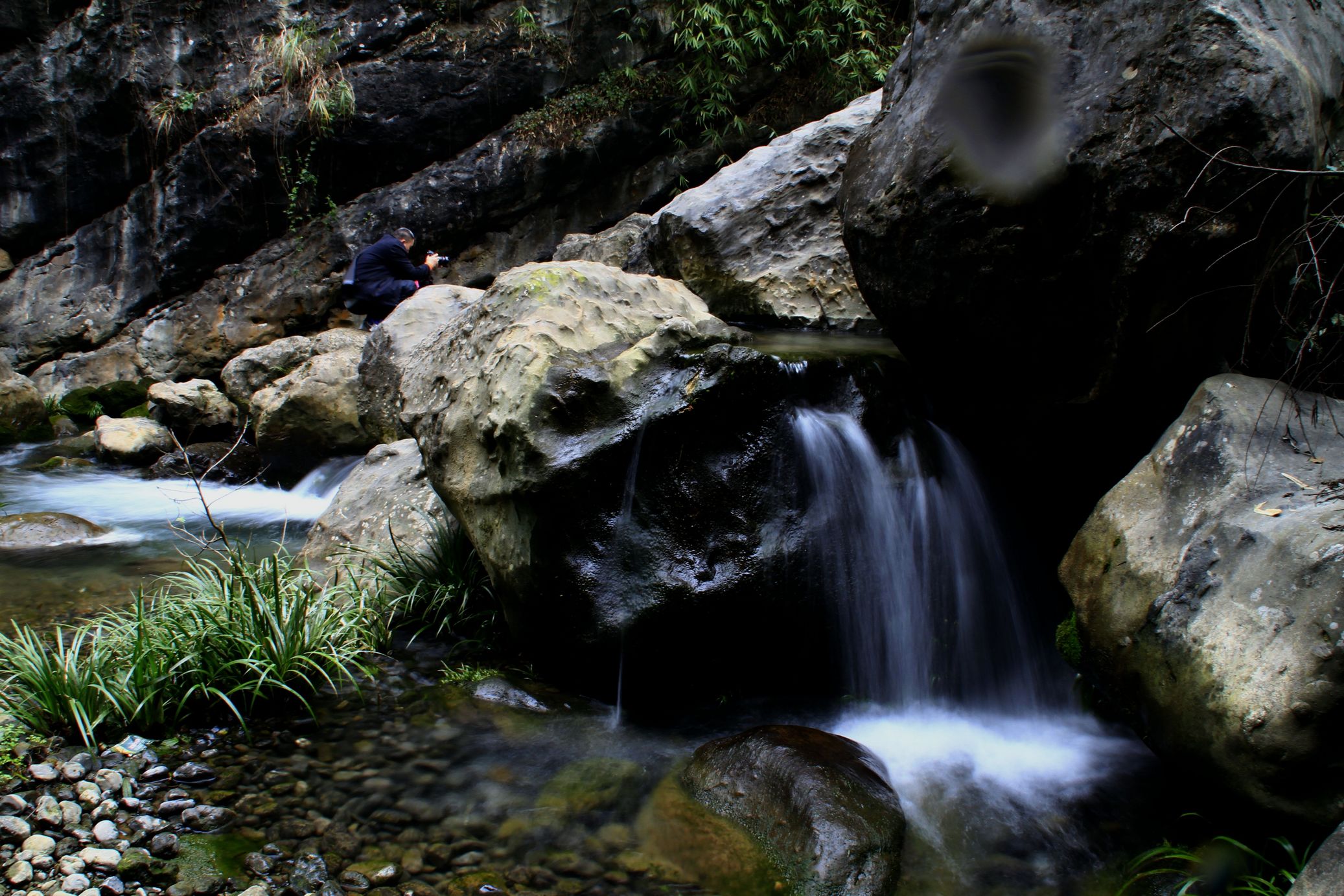 _MG_0064.JPG