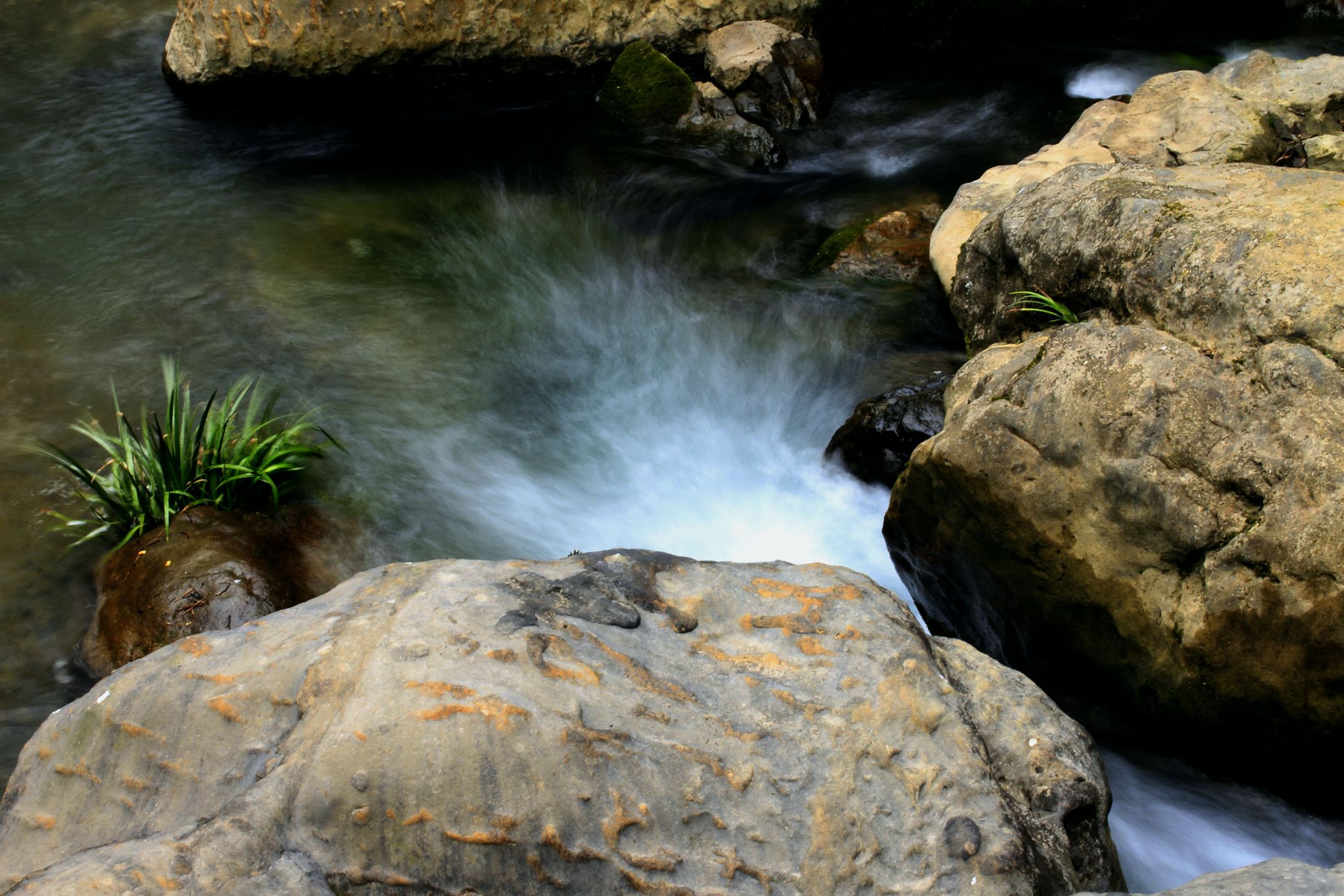 _MG_0076.JPG