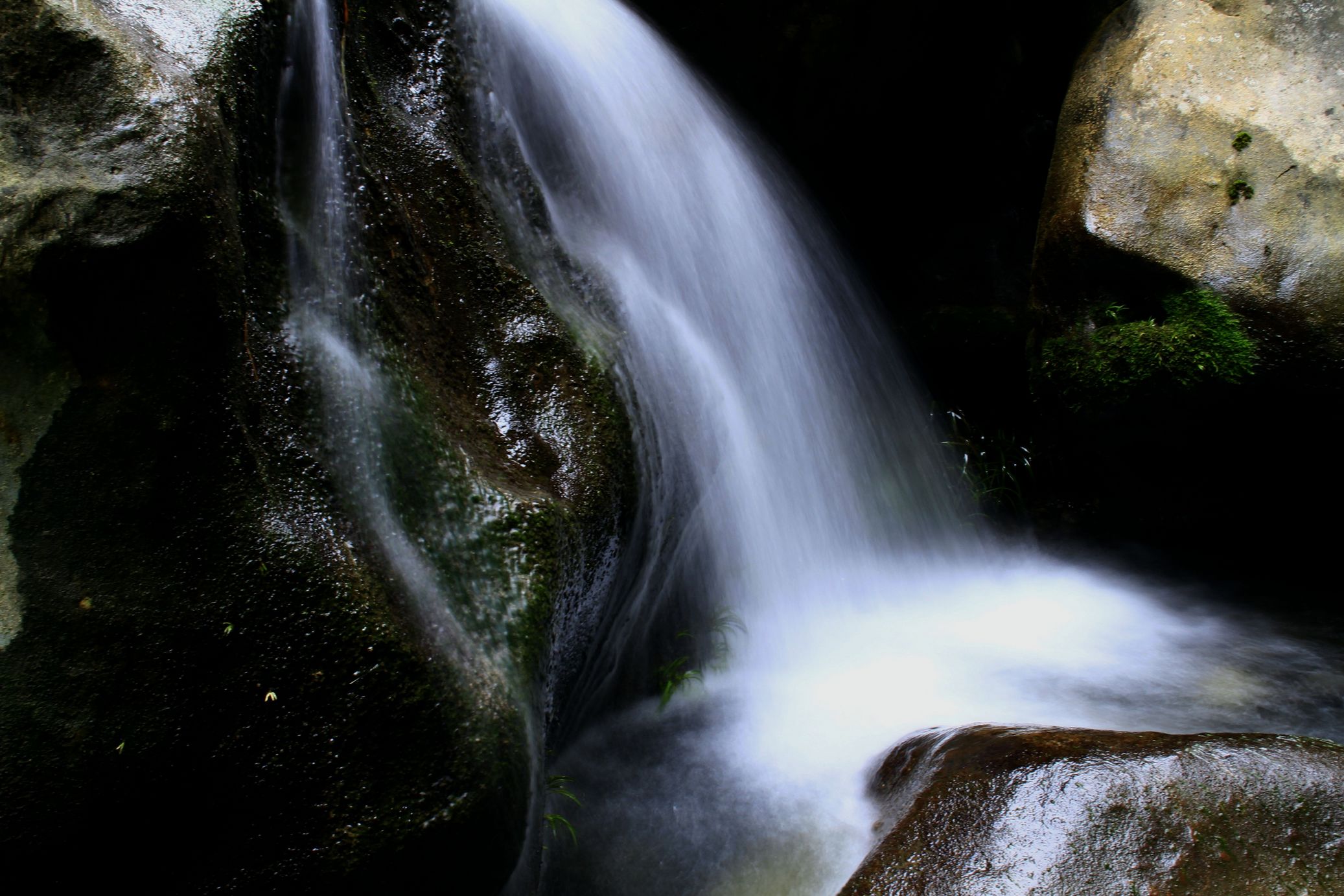 _MG_0068.JPG