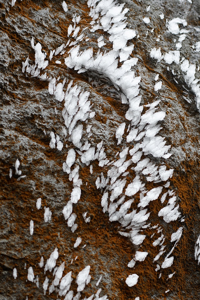 _DSC8360.jpg