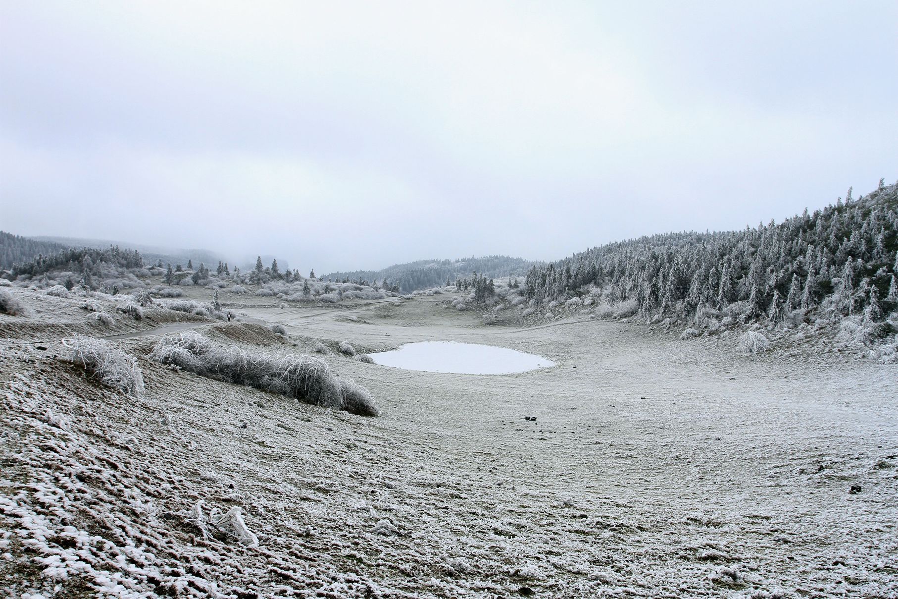 _MG_0194.JPG