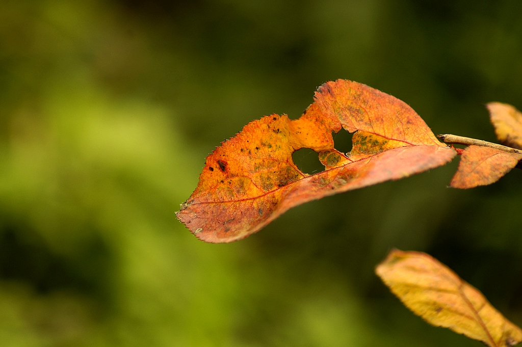 _DSC8861.jpg